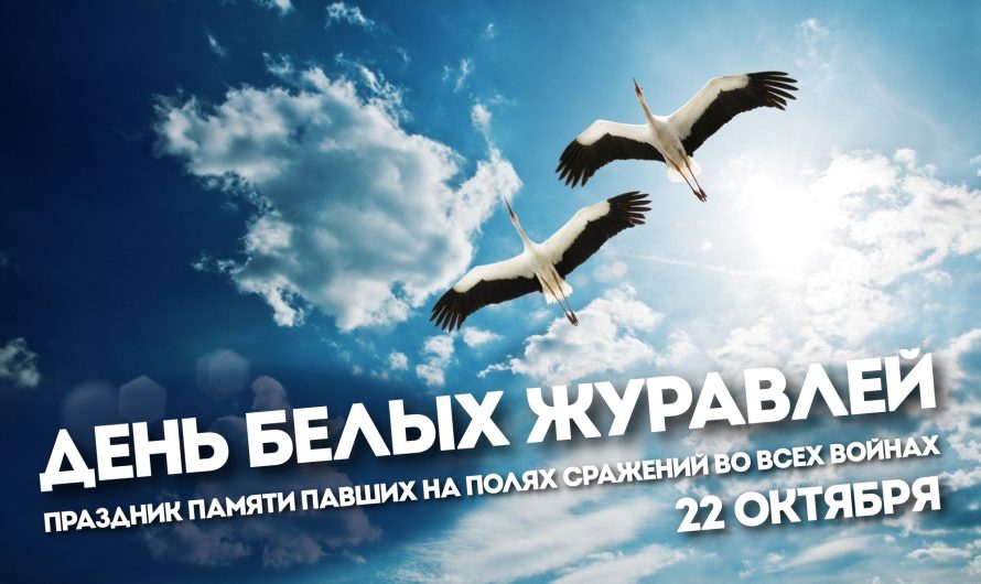 «ДЕНЬ БЕЛЫХ ЖУРАВЛЕЙ», посвященный к 80-летию Великой Победы